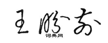 駱恆光王盼前草書個性簽名怎么寫