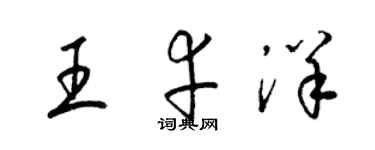 梁錦英王幸洋草書個性簽名怎么寫
