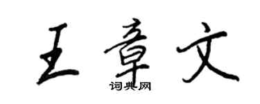 王正良王章文行書個性簽名怎么寫