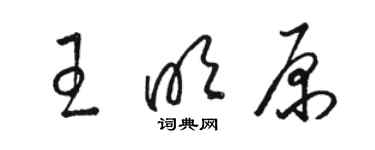 駱恆光王明原草書個性簽名怎么寫