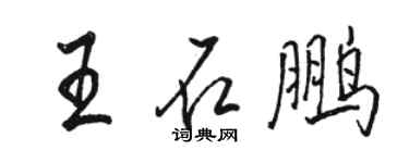 駱恆光王石鵬行書個性簽名怎么寫