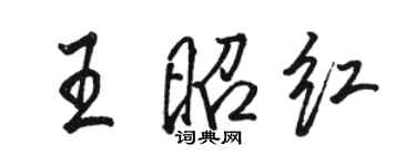 駱恆光王昭紅行書個性簽名怎么寫