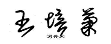 朱錫榮王培菊草書個性簽名怎么寫