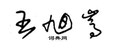 朱錫榮王旭嵩草書個性簽名怎么寫