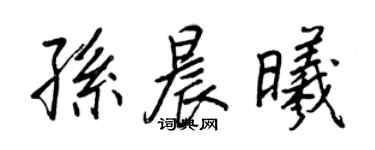 王正良孫晨曦行書個性簽名怎么寫
