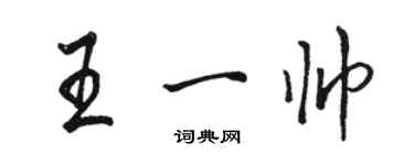 駱恆光王一帥行書個性簽名怎么寫