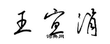 梁錦英王宜涓草書個性簽名怎么寫