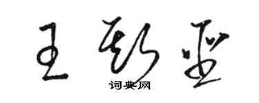 駱恆光王斯聖草書個性簽名怎么寫