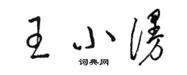 駱恆光王小漫草書個性簽名怎么寫