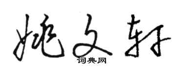 駱恆光姚文軒草書個性簽名怎么寫