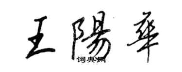 王正良王陽華行書個性簽名怎么寫