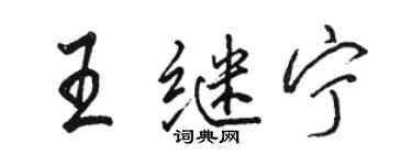 駱恆光王繼寧行書個性簽名怎么寫