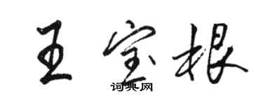 駱恆光王寶根行書個性簽名怎么寫