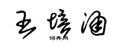 朱錫榮王培涌草書個性簽名怎么寫