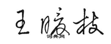 駱恆光王暖枝草書個性簽名怎么寫