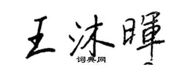 王正良王沐暉行書個性簽名怎么寫