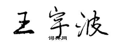 曾慶福王宇波行書個性簽名怎么寫