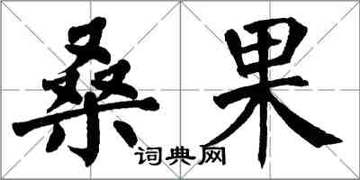 翁闓運桑果楷書怎么寫