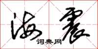 朱錫榮海震草書怎么寫