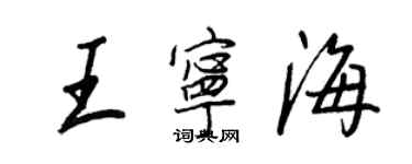 王正良王寧海行書個性簽名怎么寫