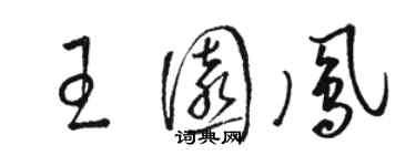 駱恆光王園鳳草書個性簽名怎么寫