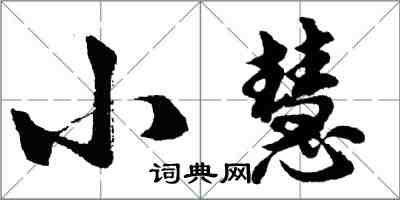 胡問遂小慧行書怎么寫