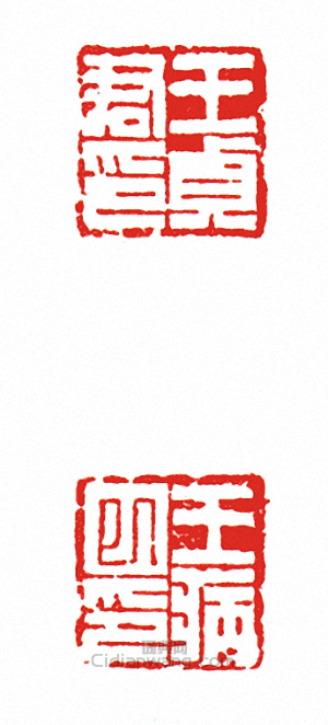 “王貞君印?王病巳印(兩面印)”篆刻印章