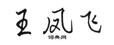 駱恆光王鳳飛行書個性簽名怎么寫