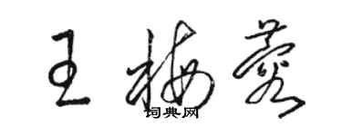 駱恆光王梅蓉草書個性簽名怎么寫