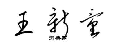 梁錦英王新童草書個性簽名怎么寫