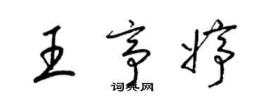 梁錦英王亭婷草書個性簽名怎么寫