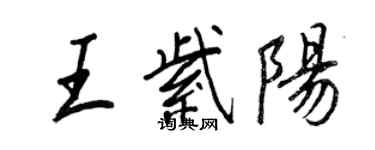 王正良王紫陽行書個性簽名怎么寫