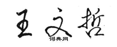 駱恆光王文哲行書個性簽名怎么寫