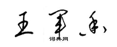 梁錦英王軍香草書個性簽名怎么寫