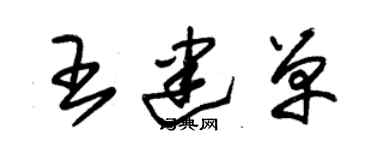 朱錫榮王建單草書個性簽名怎么寫