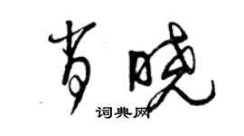 曾慶福肖曉草書個性簽名怎么寫