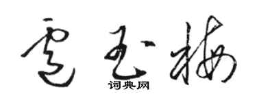 駱恆光盧玉梅草書個性簽名怎么寫