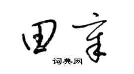梁錦英田章草書個性簽名怎么寫