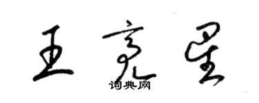梁錦英王亮星草書個性簽名怎么寫