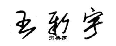 朱錫榮王新宇草書個性簽名怎么寫