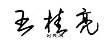 朱錫榮王桂亮草書個性簽名怎么寫