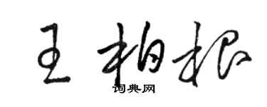 駱恆光王柏根草書個性簽名怎么寫