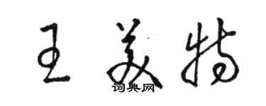 駱恆光王美特草書個性簽名怎么寫