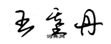 朱錫榮王基丹草書個性簽名怎么寫