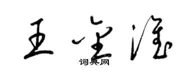 梁錦英王金淮草書個性簽名怎么寫