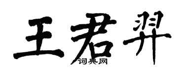 翁闓運王君羿楷書個性簽名怎么寫