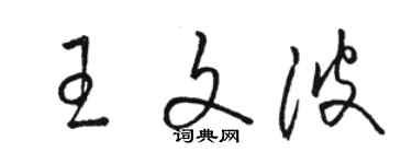 駱恆光王文波草書個性簽名怎么寫