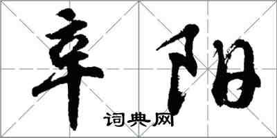 胡問遂辛陽行書怎么寫