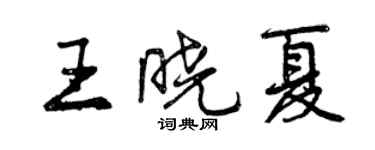 曾慶福王曉夏行書個性簽名怎么寫