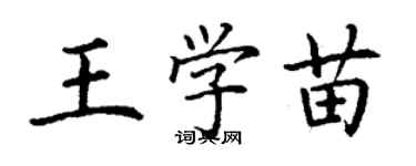 丁謙王學苗楷書個性簽名怎么寫